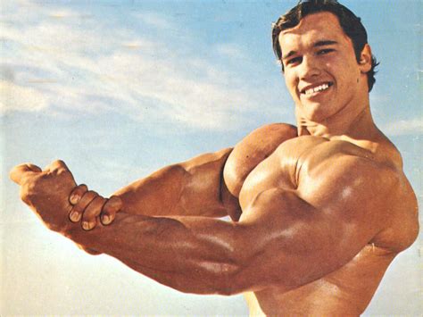 Download Arnold Schwarzenegger Heavy Muscle Wallpaper | Wallpapers.com