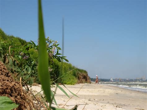 Nude beach