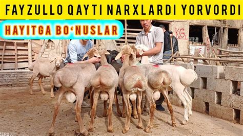 FAYZULLODAN YANGI PARTIYA YANGICHA NARXLAR TUSHTI - YouTube