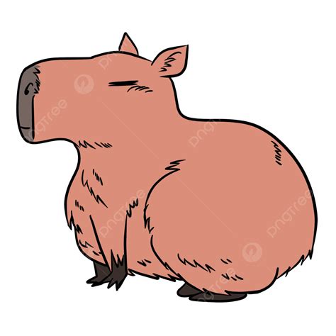Капибара PNG , братан, животное, мультфильм PNG картинки и пнг PSD ...