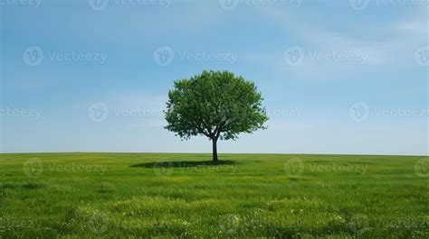 AI generated One tree on a wide grass plain with a blue light sky. A