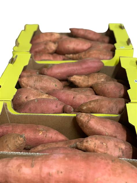Süßkartoffeln(Egipt) – Lubmax