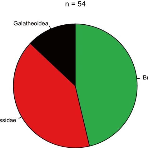7 Occurrence-based pie diagram of decapod body fossils in cold seeps ...