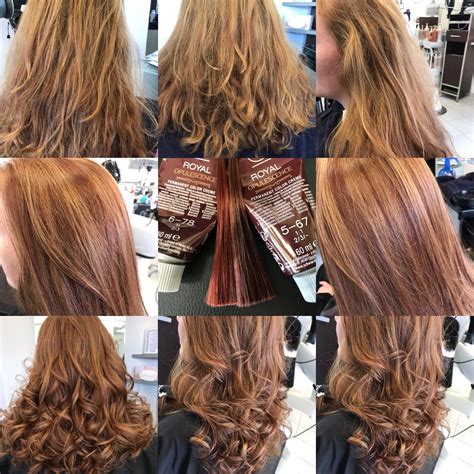 igora royal opulescence 6-78 und 5-67 | Hair styles, Hair, Beauty
