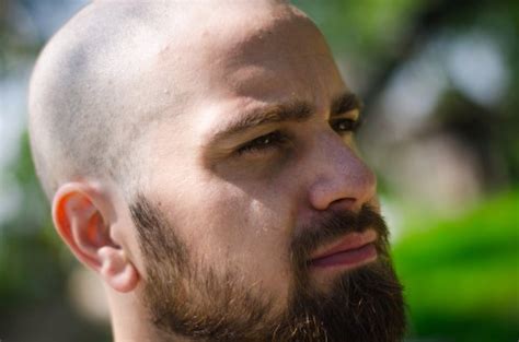 create meme beard beard  pictures meme arsenalcom