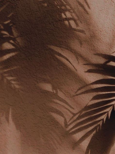 Nienke van Schijndel (@nienke.fitness) • Instagram photos and videos