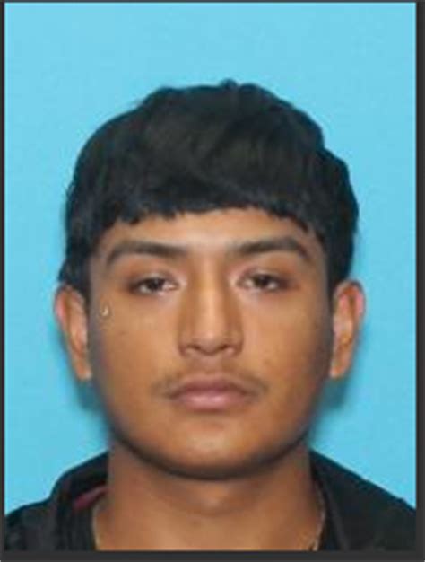 Case Update: Homicide Investigation in the Hickory Grove Division