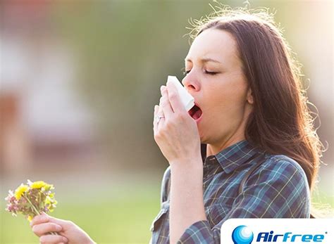 Пролетни и респираторни алергии: каква е връзката? | allergy.bg
