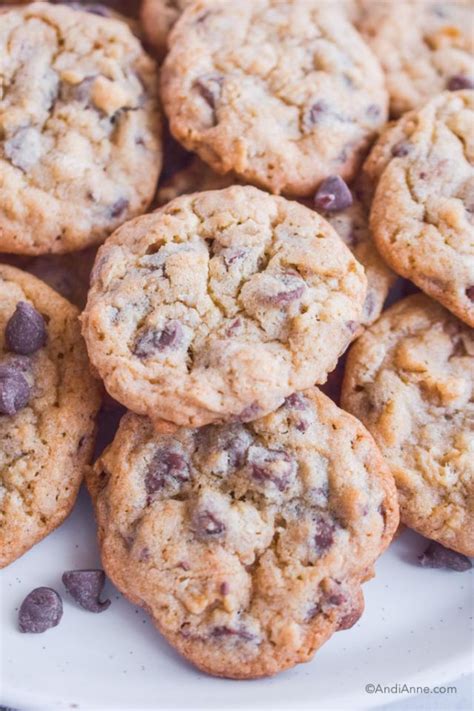 Chewy Chocolate Chip Oat Cookies