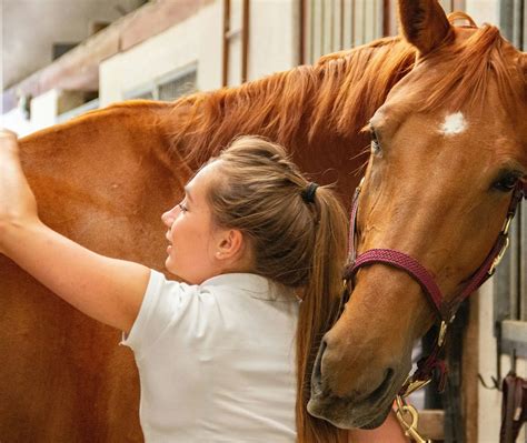 Important Policy Updates for Harry Hall Insurance Customers 2