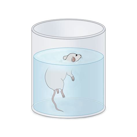 Forced Swim Test (Behavioral Despair)