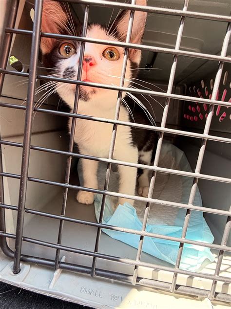 Maryland Adventure Babe added a... - Maryland Adventure Babe