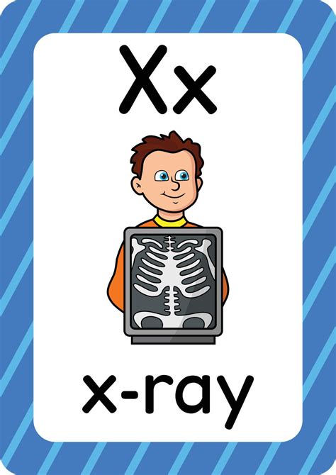X ray vector isolated on white background letter X flashcard X ray