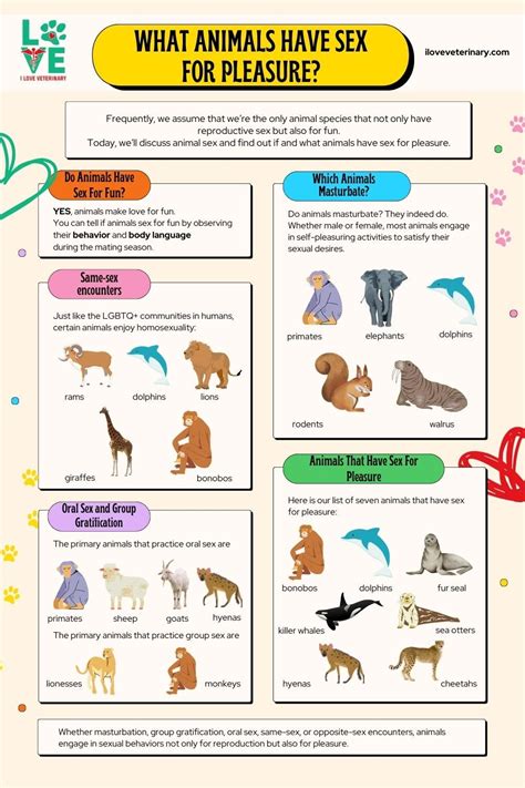 animals  sex  pleasure  love veterinary artofit