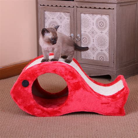 tips for fish scratching indoors 1