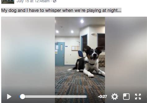 how to teach dog to whisper