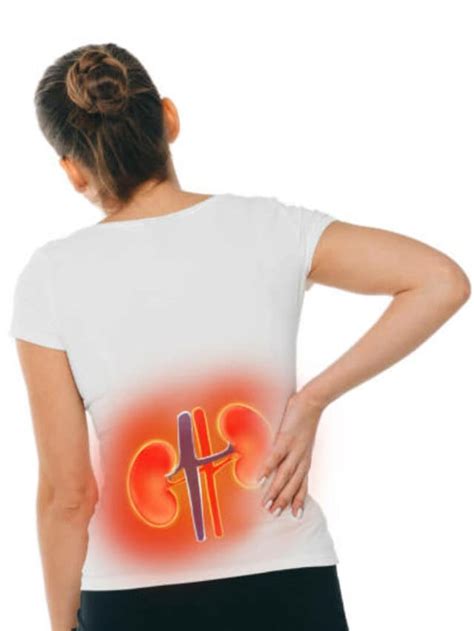 tips    kidneys healthy