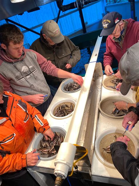 What's Next for B.C. Hatcheries? | Pacific Salmon Foundation