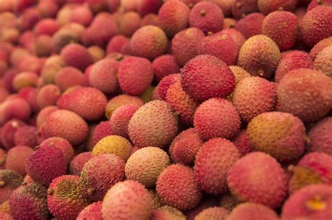 colorful genomic story  lychee fruit