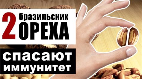 Бразильский орех - почему 2 ореха в день спасут наш иммунитет и не ...