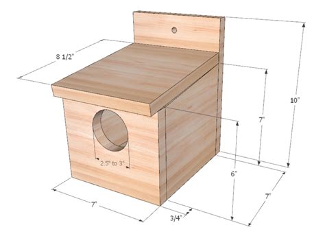 Plans For A Robin Nest Box