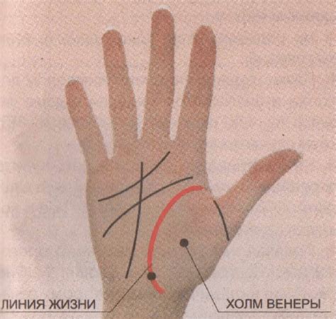 Линия жизни на руке – расшифровка значений