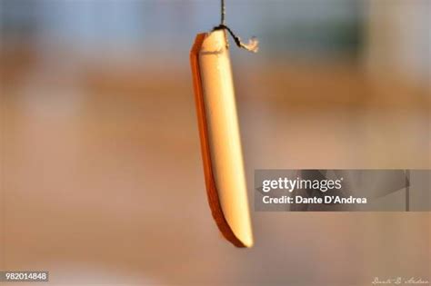 lado stock  high res pictures  images getty images