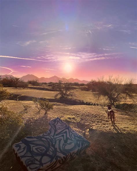 NeedyNovember (@needynovember) • Instagram photos and videos