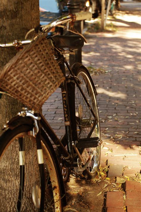 learning photography  photo collecting cork click