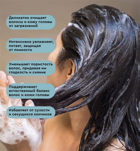 Натуральный увлажняющий шампунь Aromatherapy Hydra, для сухих, тусклых ...