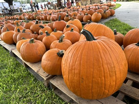 Public debate follows Seguin Gazette reporting on developments 5