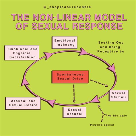 How does Sexual Response work? — The Pleasure Centre