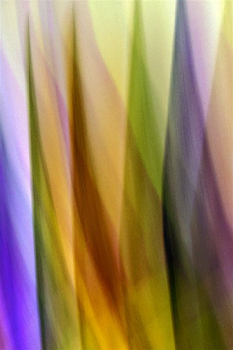 soft background      soft background stock