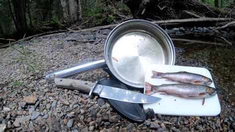 Brook trout catch and cook : r/CampfireCooking