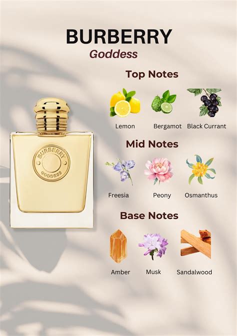 GUCCI Guilty Notes Breakdown in 2025 | Essential oil perfumes recipes