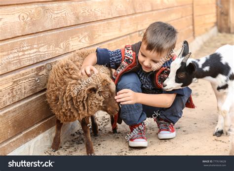 366,650 Animal petting zoo Images, Stock Photos & Vectors | Shutterstock