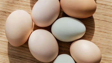 Quanto de proteína tem um ovo?
