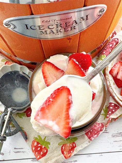 Homemade Vanilla Ice Cream - Foodtastic Mom