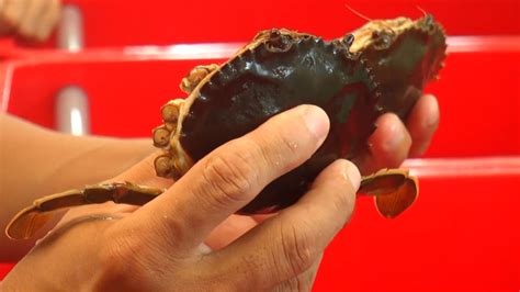 cau chuyen nang tam cua viet truyen hinh hau giang