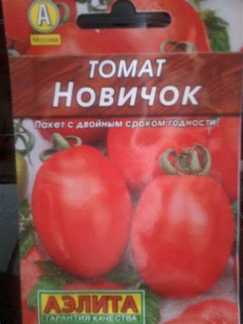 Томат новичок урожайность фото (большой фотообзор) - artshots.ru