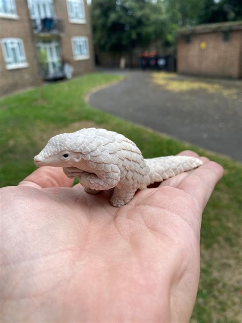 Beige Colour Standing Pangolin Figurines 5cm Height, 11cm Length - Etsy
