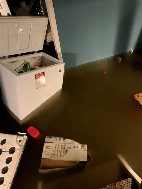 Detroit has a flood problem. It's got an even bigger mold problem. | Grist