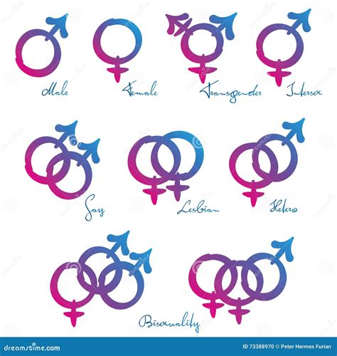 Amour Hétéro Lesbien Gai De Symboles De LGBT Illustration Stock