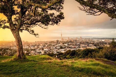 Auckland Travel Guide