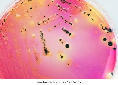 ss  images stock  vectors shutterstock