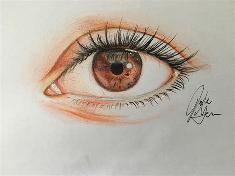 easy drawing pictures  colour pencil eye colored draw eyes