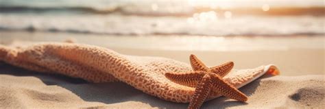 Una estrella de mar en la playa con el sol brillando sobre ella | Foto ...
