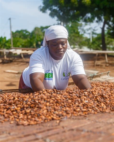 Africa Sustainable Commodities Initiative