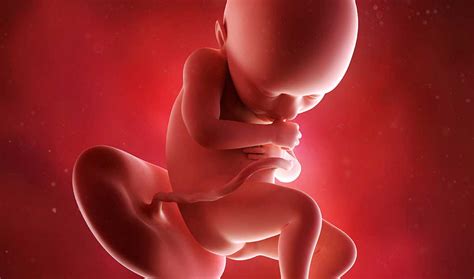Imagens De Bebe Com 36 Semanas De Gestação