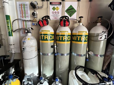Unlocking the Depths: A Guide to Nitrox Diving - Rodney Fox Shark